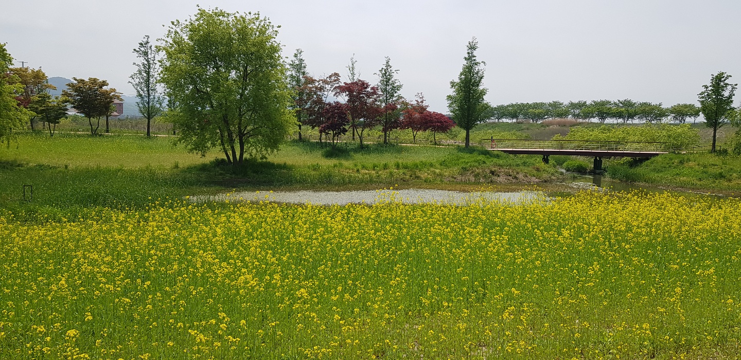 배너이미지